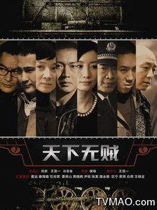 无贼电视剧在线观看,揭秘在线观看的悬疑之旅